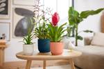 vibes fold rond 22cm bleu foncé
